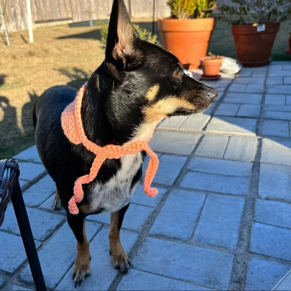 Dog Bandana Hand Knit in USA Western Dog Outfit Tie Scarf - Picture 2 of 6